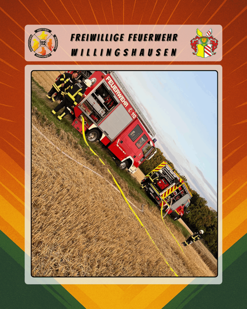 Übungsdienst: Vegetationsbrand 🔥