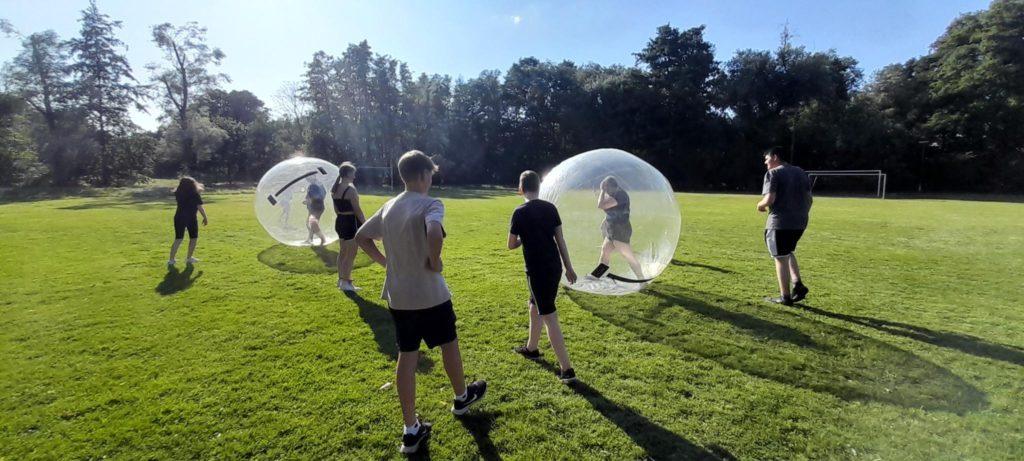 Einmal Hamster sein!