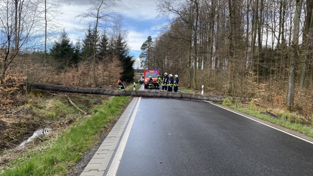 Einsatz #4 / #5 2024: Baum auf Straße