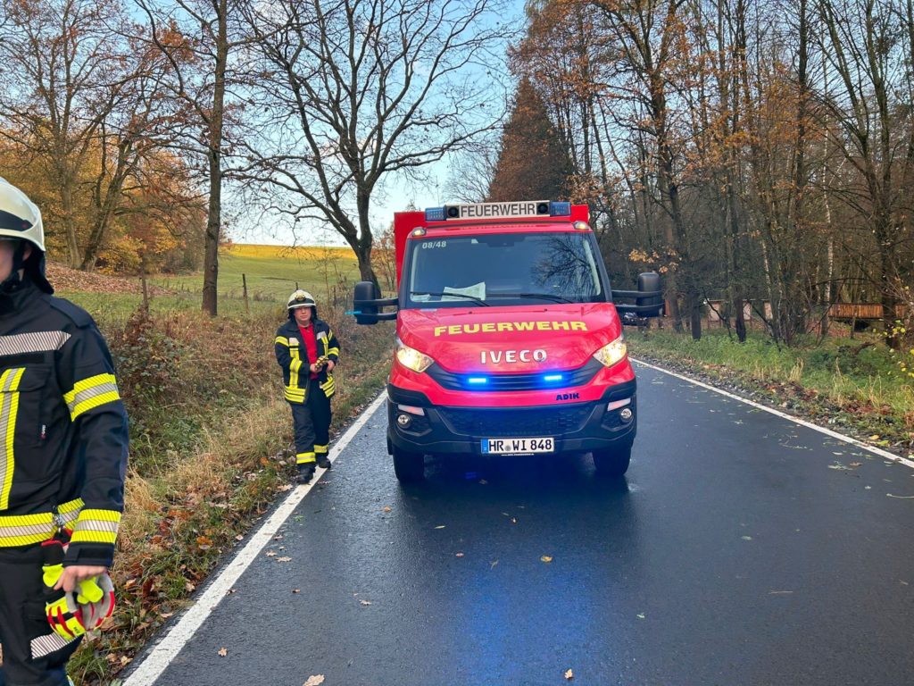 Einsatz: Baum auf Straße